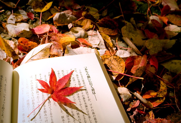 [Chùm] Thơ mùa thu nhẹ nhàng đi vào lòng người – Xin chào mùa thu
