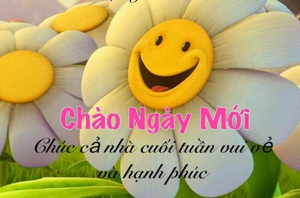 Chùm thơ chào ngày mới vui vẻ, tràn đầy niềm vui