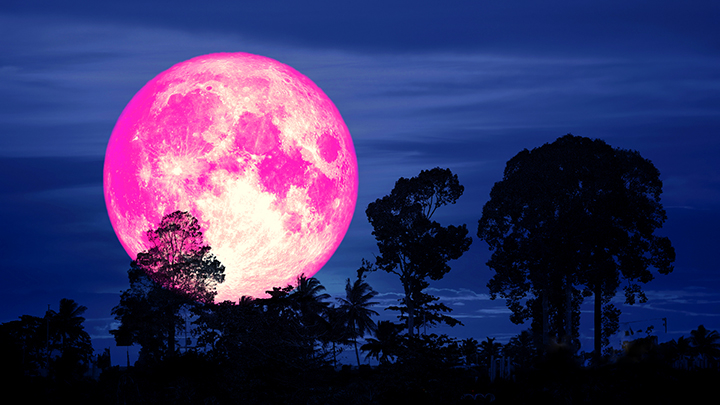Sâu lắng trước những bài thơ về đêm trăng buồn ý nghĩa nhất