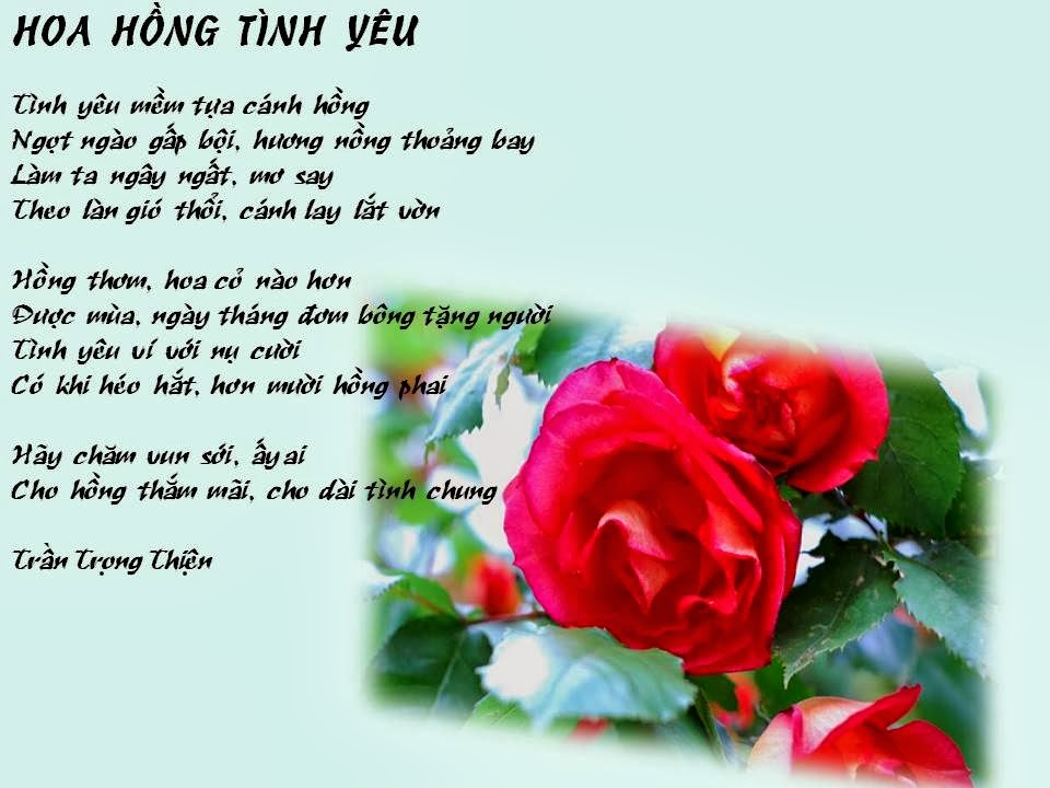 Top những bài thơ về hoa hồng hay, lãng mạn dành tặng lứa đôi