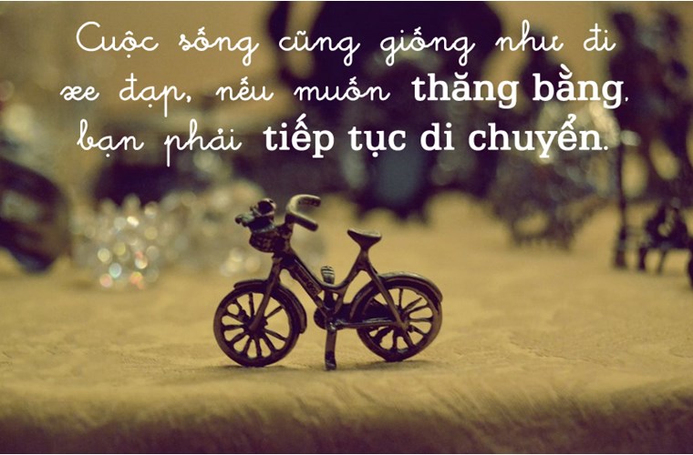 12-cau-noi-hay-ve-cuoc-song-tuoi-dep-quanh-ta-bang-hinh-anh-nhat-dinh-ban-se-thich-4