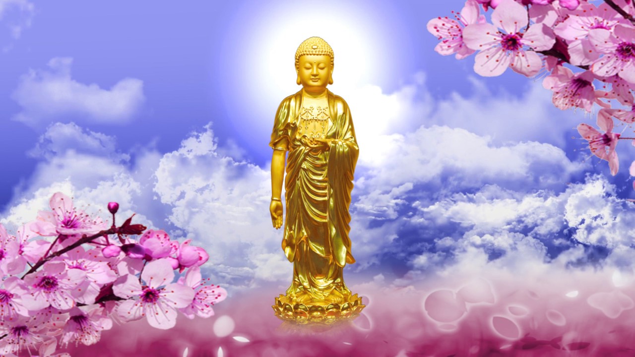 Thư Viện Hình Ảnh Phật Pháp Đẹp Nhất Thế Giới Khiến Bạn Say Lòng