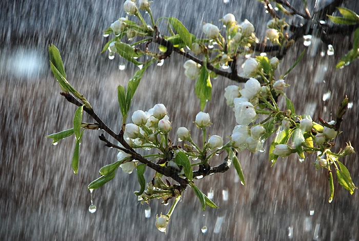 Hình ảnh đẹp và lãng mạn nhất về trời mưa