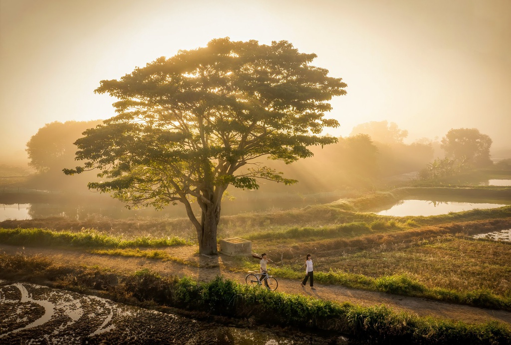 Bình yên nét đẹp làng quê Phú Thọ năm 2023