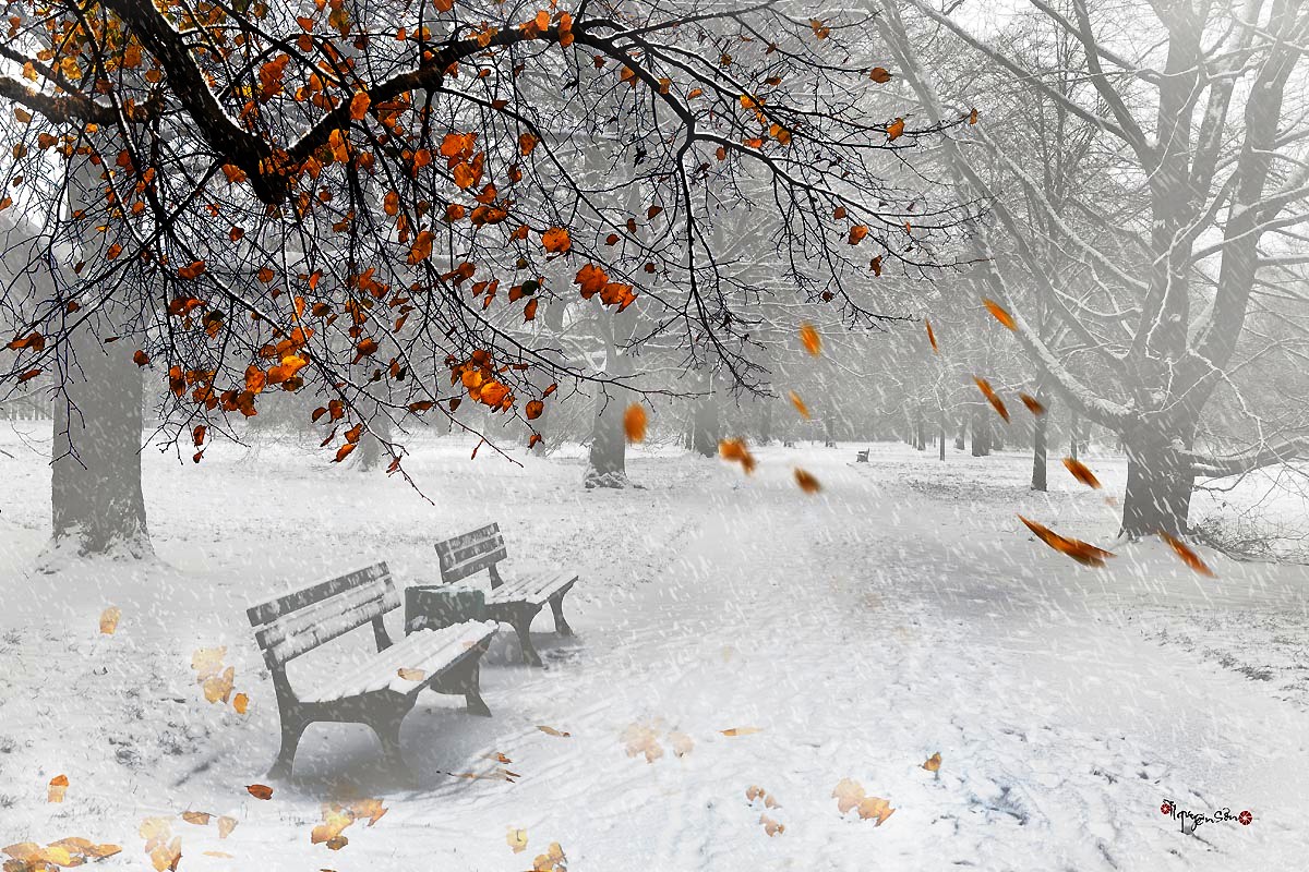 Hình ảnh mùa đông đẹp lạnh lãng mạn-31