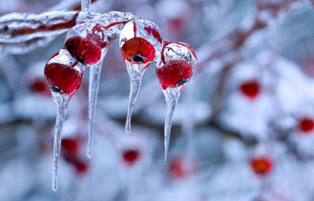 Hình ảnh mùa đông đẹp lạnh lãng mạn-10
