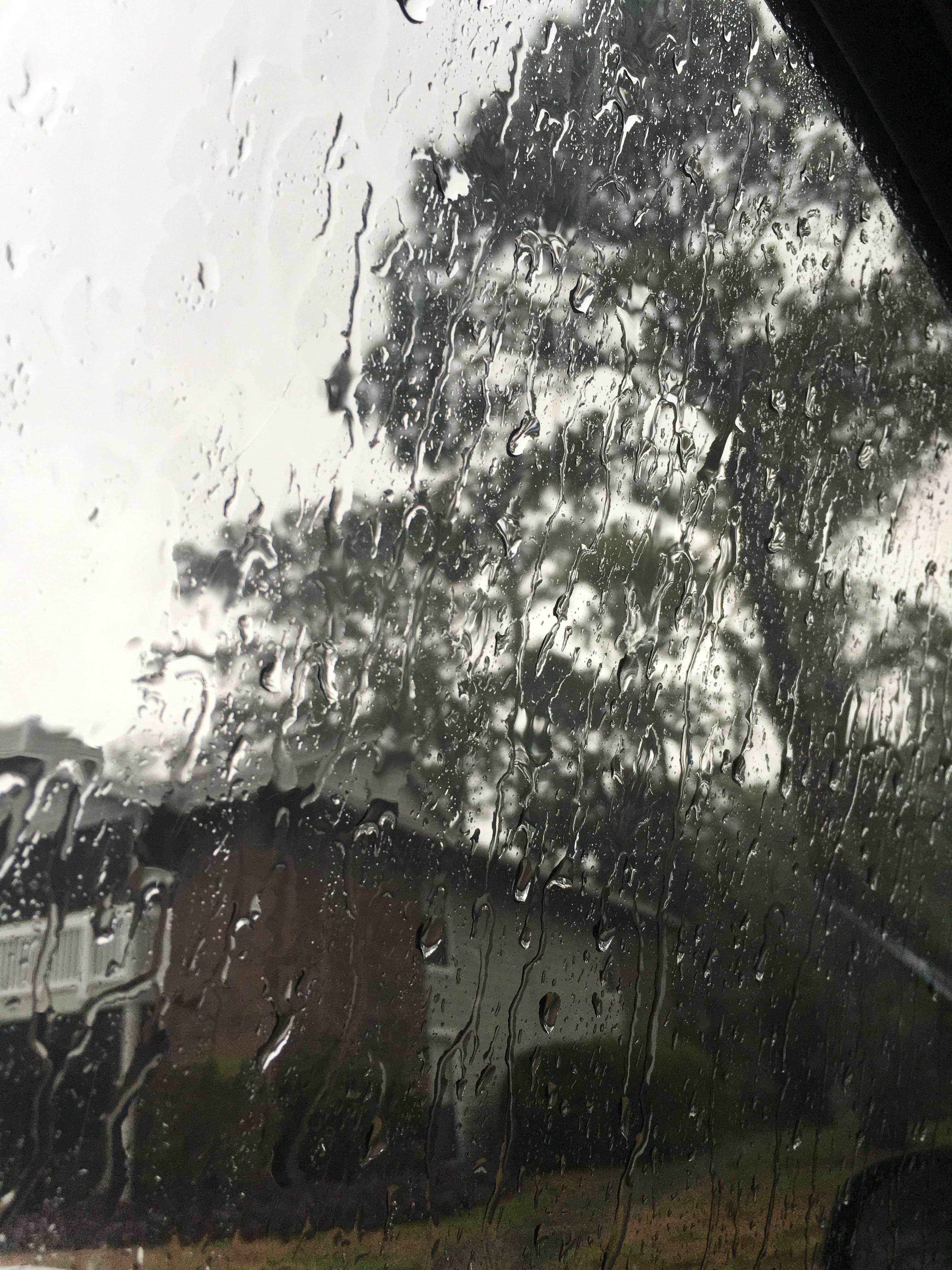 Hình ảnh trời mưa đẹp qua ô cửa kính