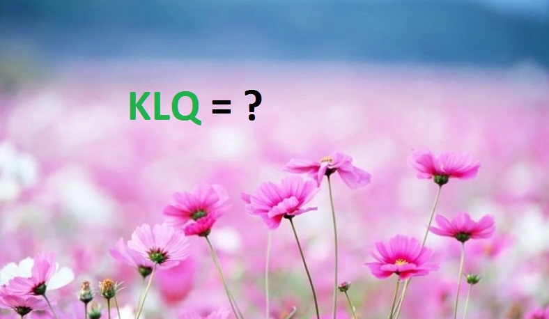 KLQ là gì? Khám phá nghĩa của KLQ trên facebook