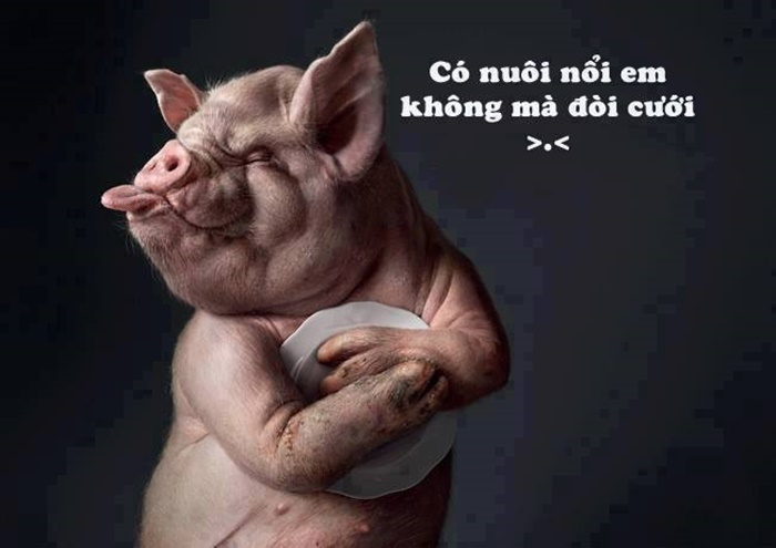 [Top] Những hình ảnh hài hước nhất Việt Nam “không thể tin nổi”