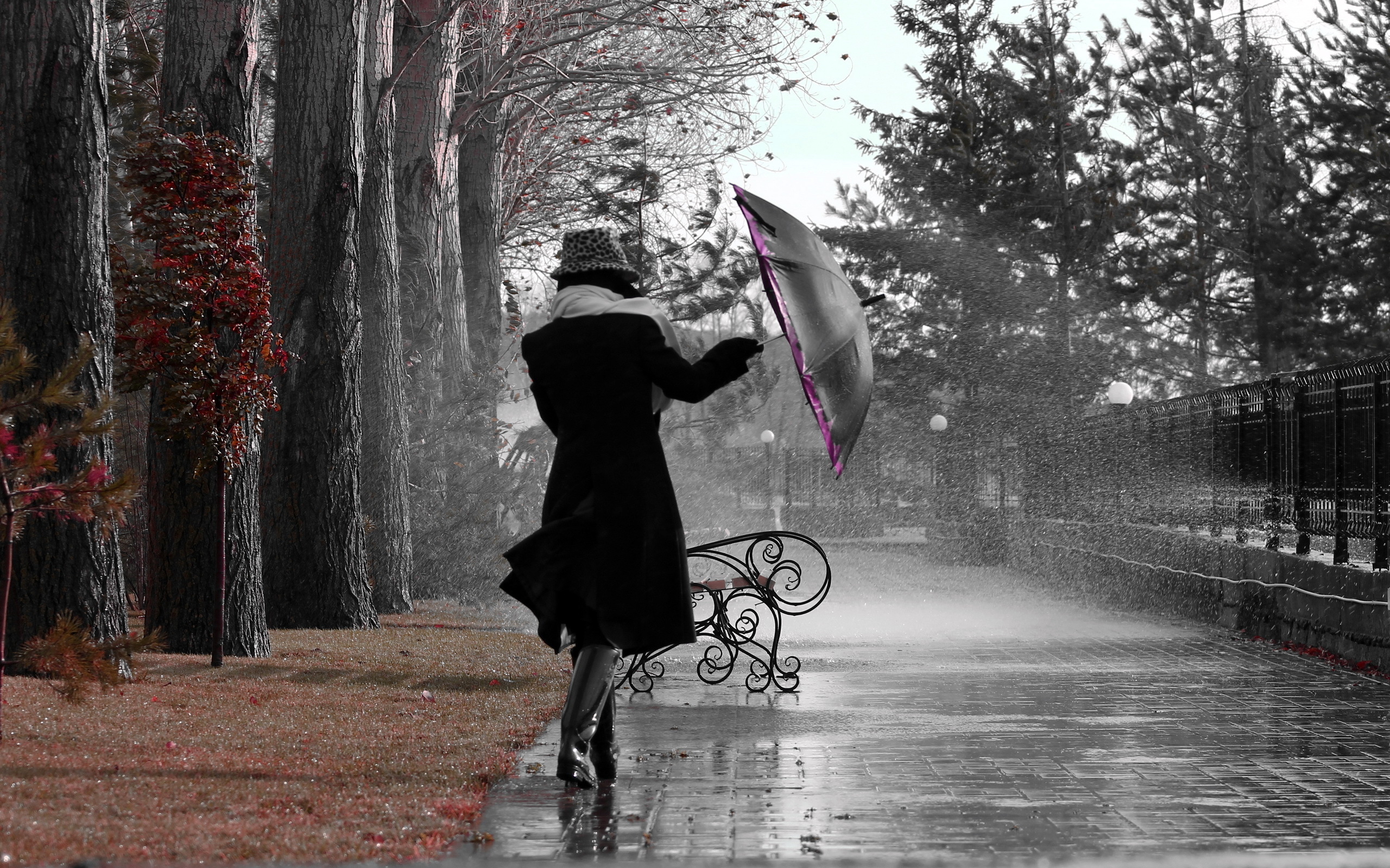 Những hình ảnh trời mưa đẹp và lãng mạn nhất