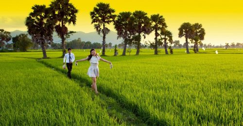 Thả hồn với những hình ảnh làng quê Việt Nam đẹp bình dị
