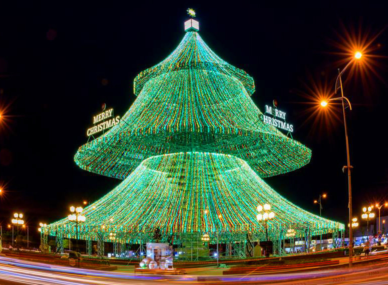 Cây thông Noel tại Phú Quốc - Kiên Giang 