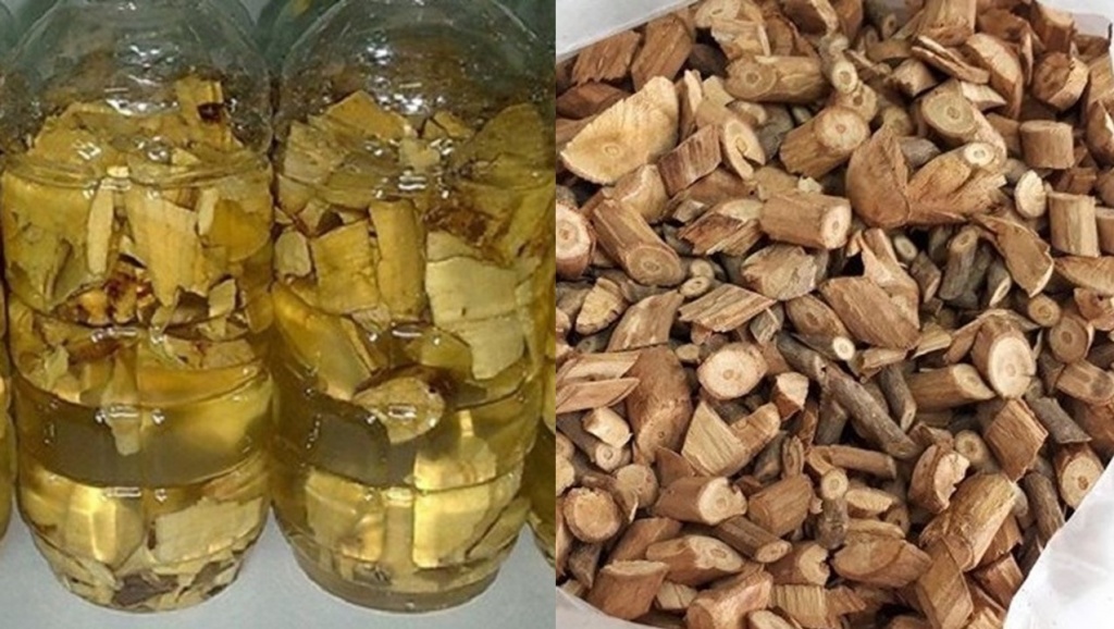 Cách ngâm rượu cây lược vàng chữa dạ dày