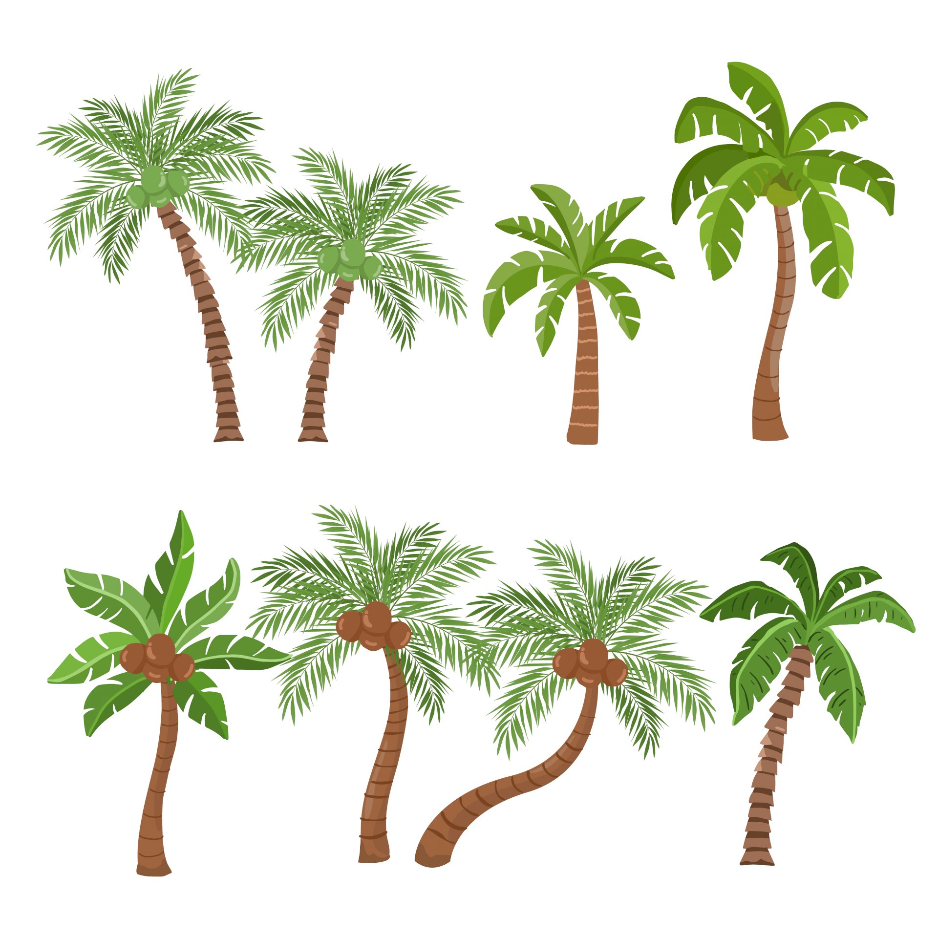 Một số hình vẽ cây dừa đẹp