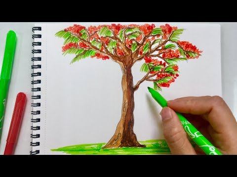 Một số hình vẽ cây phượng trang trí đẹp