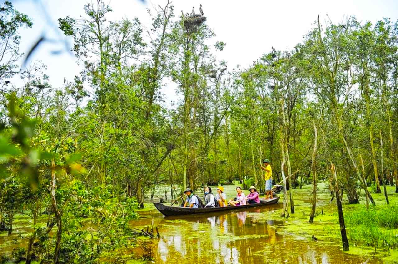 Cây trâm bầu