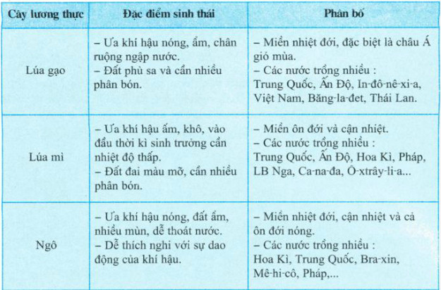 Ví dụ về cây lương thực