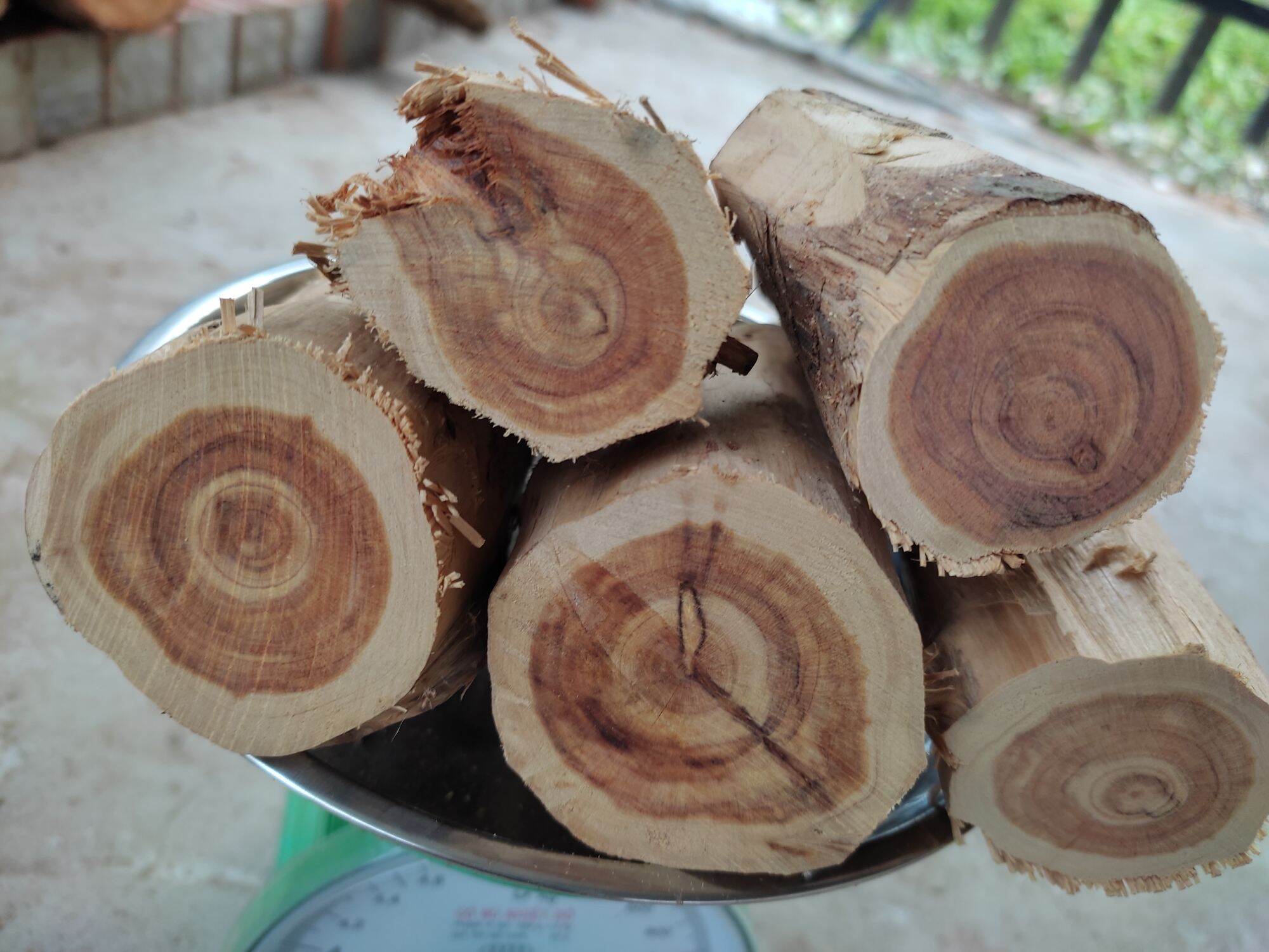 Đặc tính gỗ trắc bách diệp