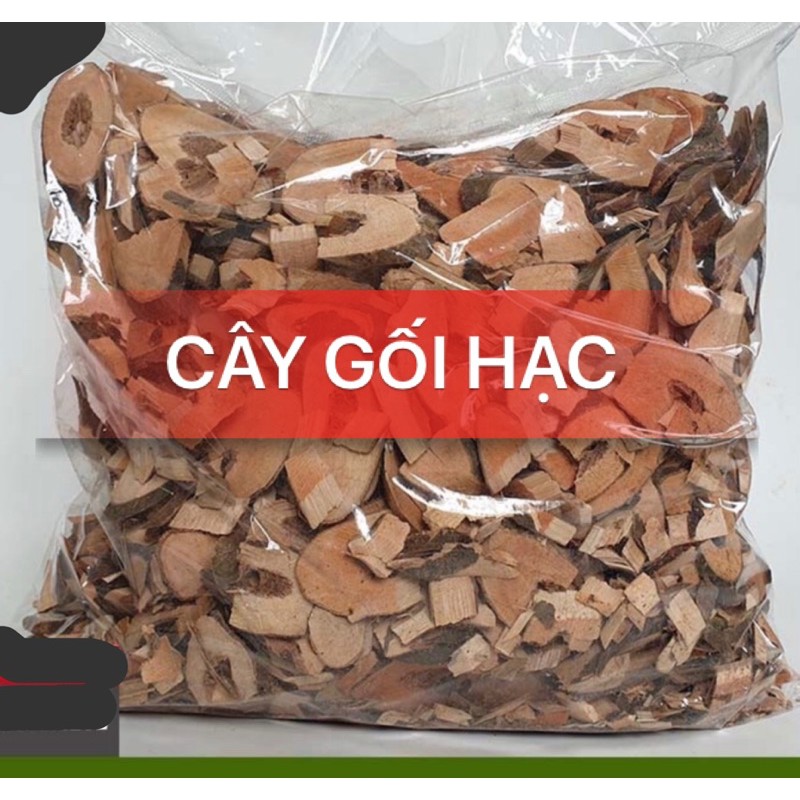 Hình ảnh cây gối hạc