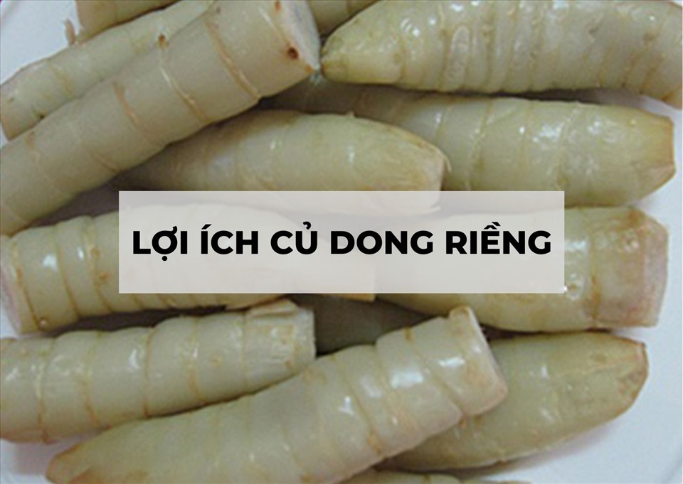 Hàm lượng dinh dưỡng cây dong riềng trắng