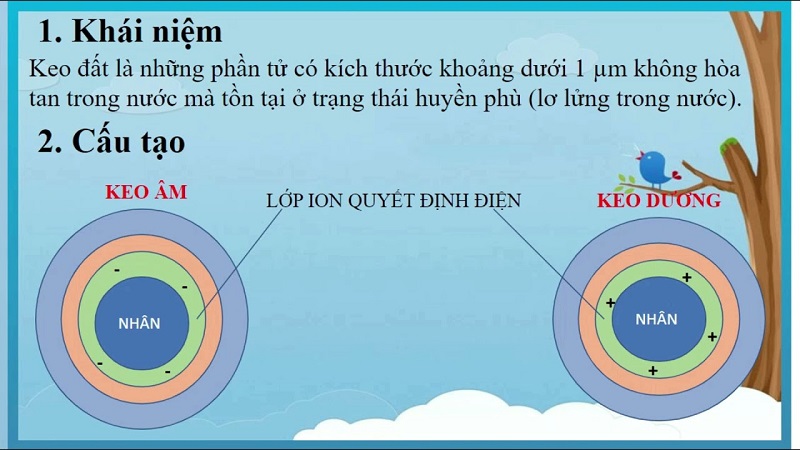 Keo đất có mấy loại?