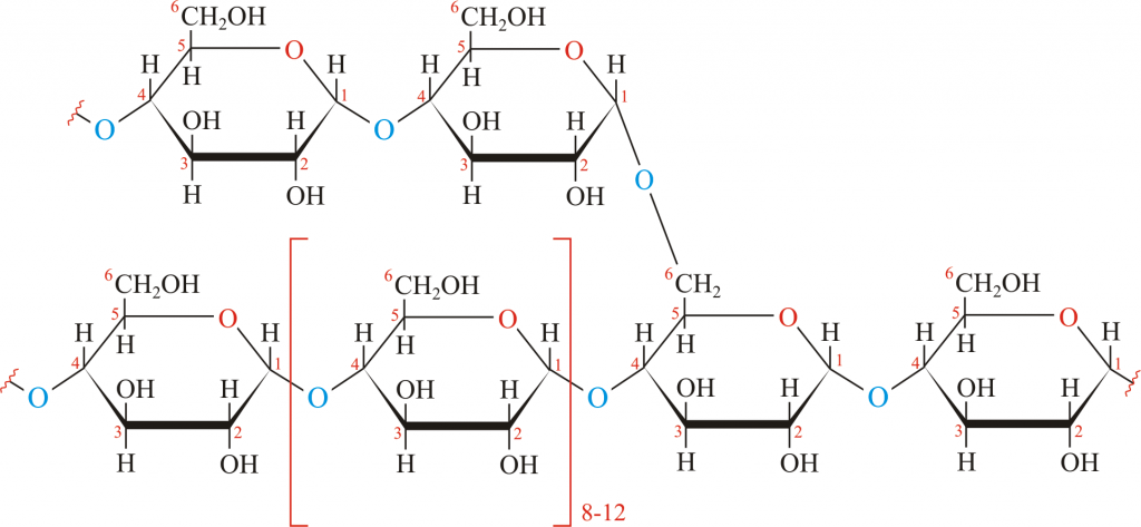 Vai trò glycogen đối với cơ thể người