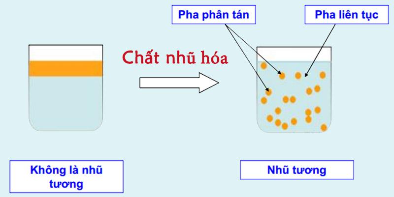 Tại sao nhũ hoa lại to?