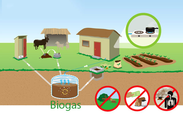 Tìm hiểu khí biogas là gì?