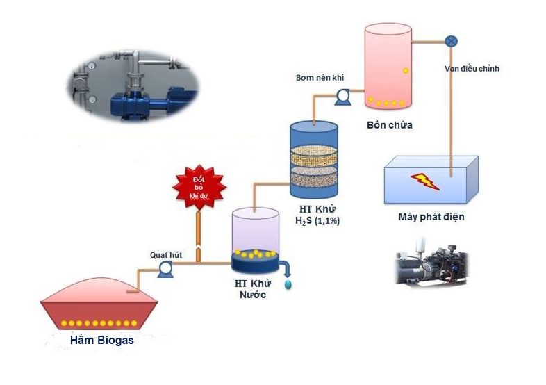 Cấu tạo của hầm biogas trong chăn nuôi