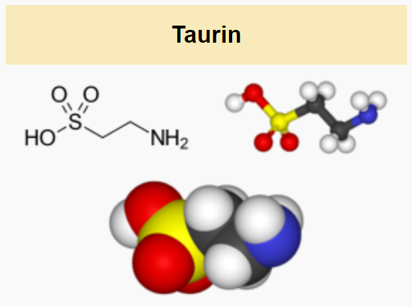 Taurine có chức năng gì?