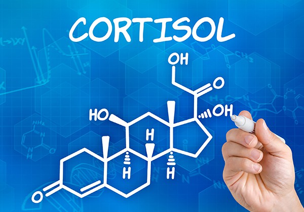 Cortisol có tác dụng gì?