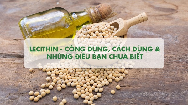 Tìm hiểu chi tiết Lecithin là gì? 