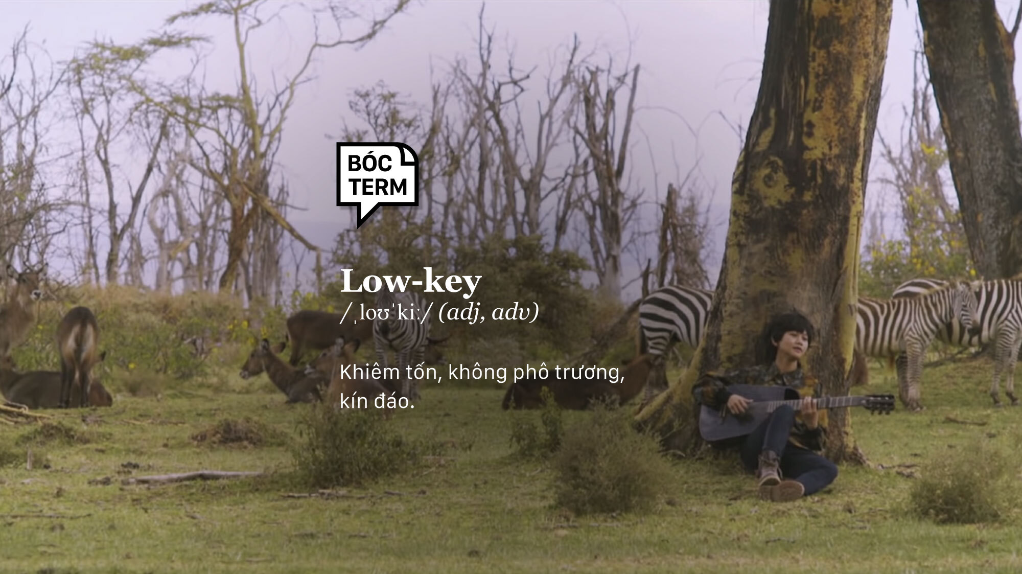 Tại sao người lowkey thường rất thu hút? 