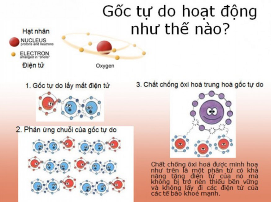 Chất khử là gì chất oxi hóa là gì?