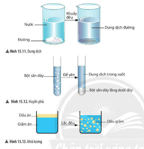 Cách nuôi cấy huyền phù tế bào là gì?