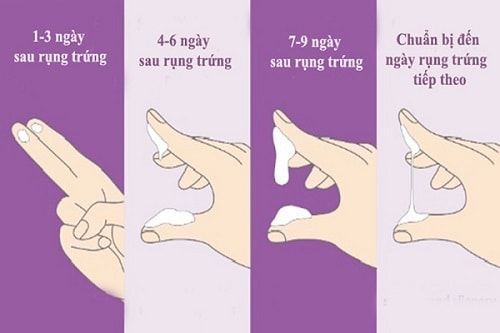 Sau ngày rụng trứng có ra dịch không?