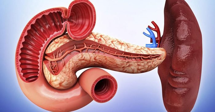 Nguyên nhân mắc tỳ vị hư hàn là gì? 