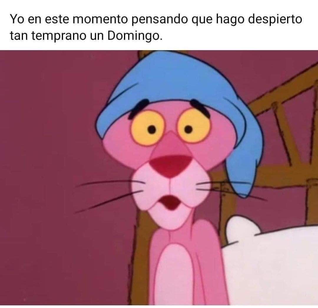 Nadie puede estar despierto un domingo tan temprano meme!