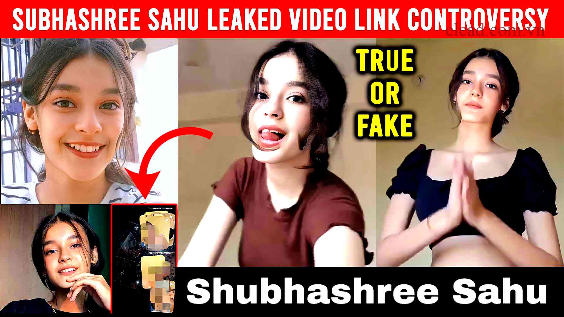 Subhashree Sahoo leaked video