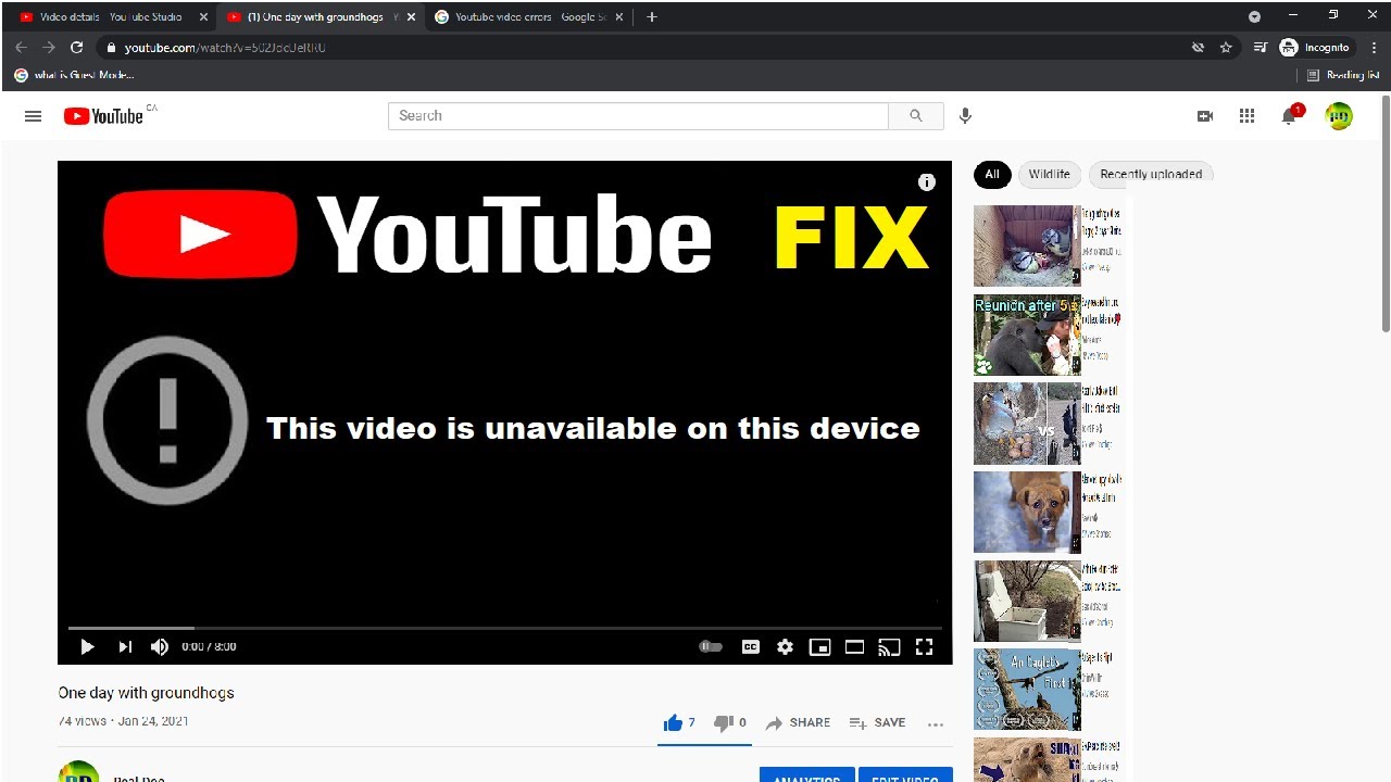 Video unavailable en françai