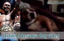 Israel Adesanya Dog Video Twitter: A Viral Delight