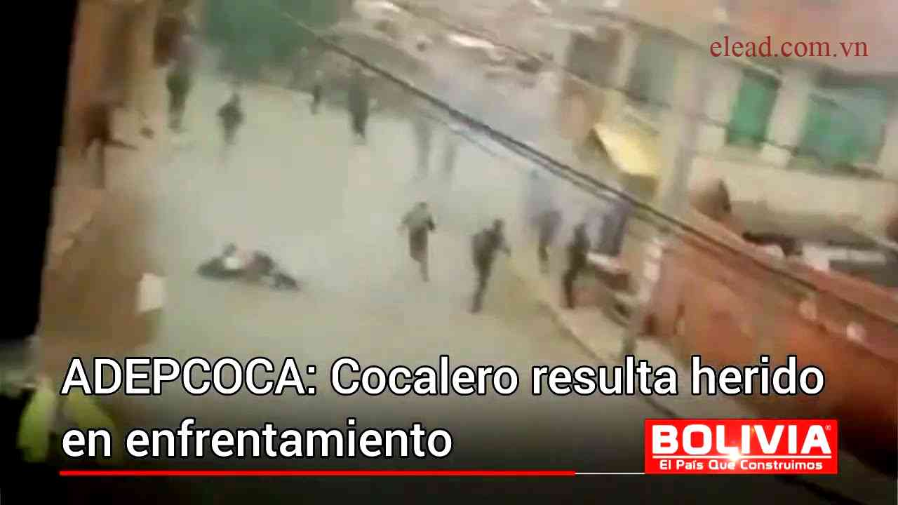 Cocalero dinamita video – descubre la fascinante historia