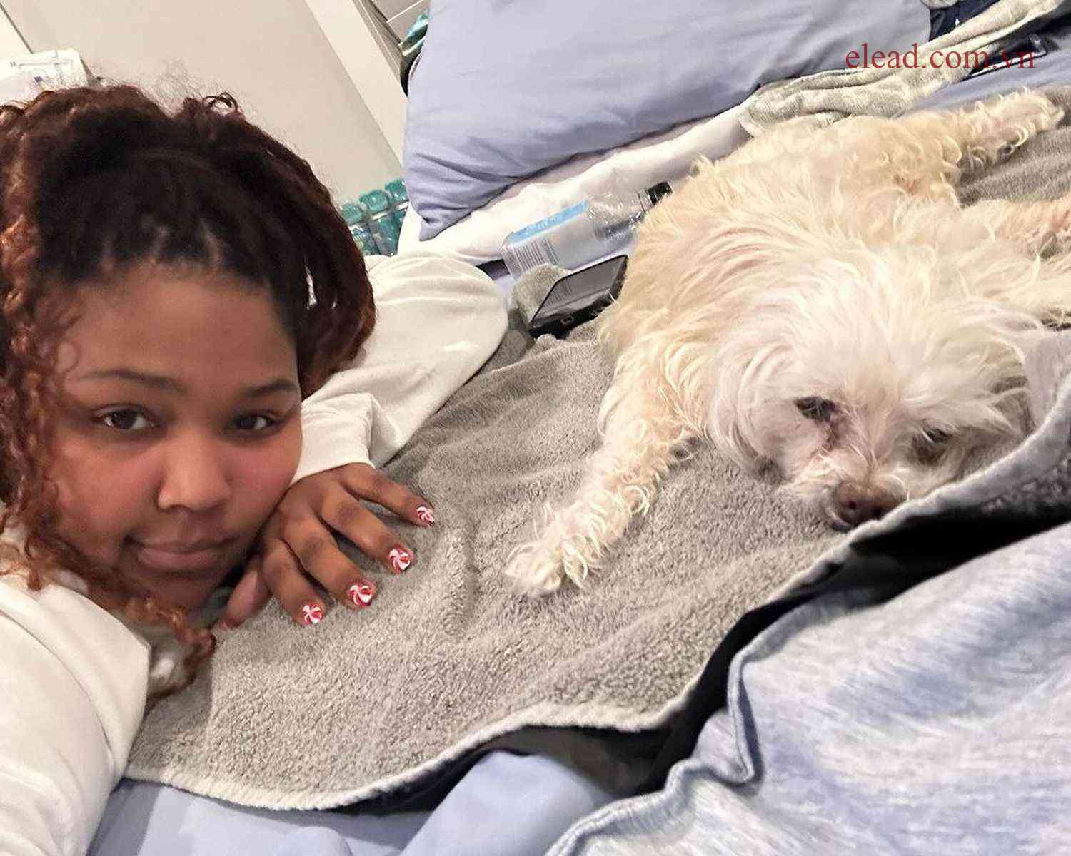 Lizzo Grieves the Loss of Her Much-Loved Dog on a Heartbreaking Christmas Eve