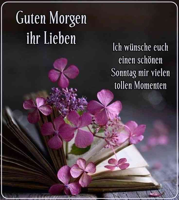 einen schönen sonntag wünschen