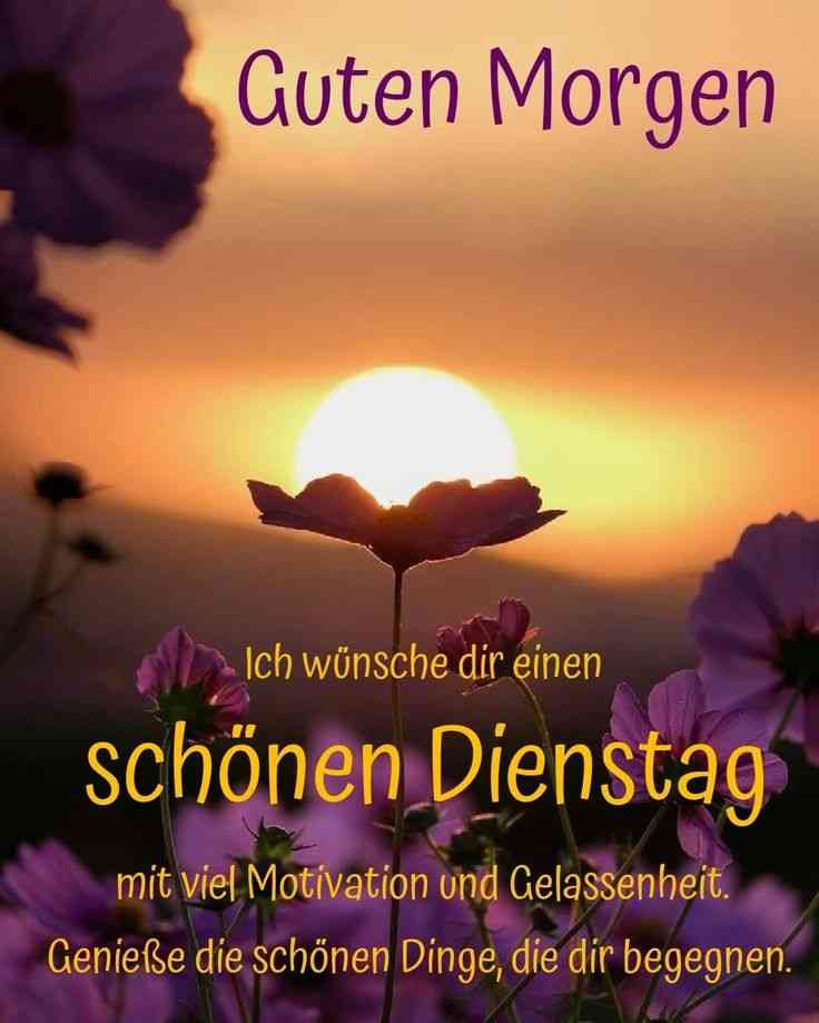 guten morgen wünsche dir einen schönen dienstag
