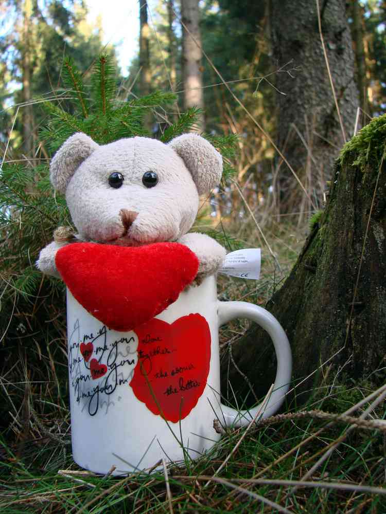 Ich wünsche dir einen schönen Valentinstag wundervollen