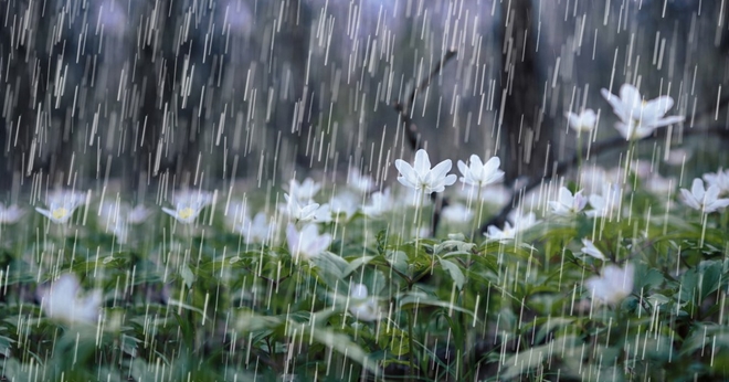 Bộ sưu tập những bài thơ ngắn về mưa tình yêu tuyệt vời