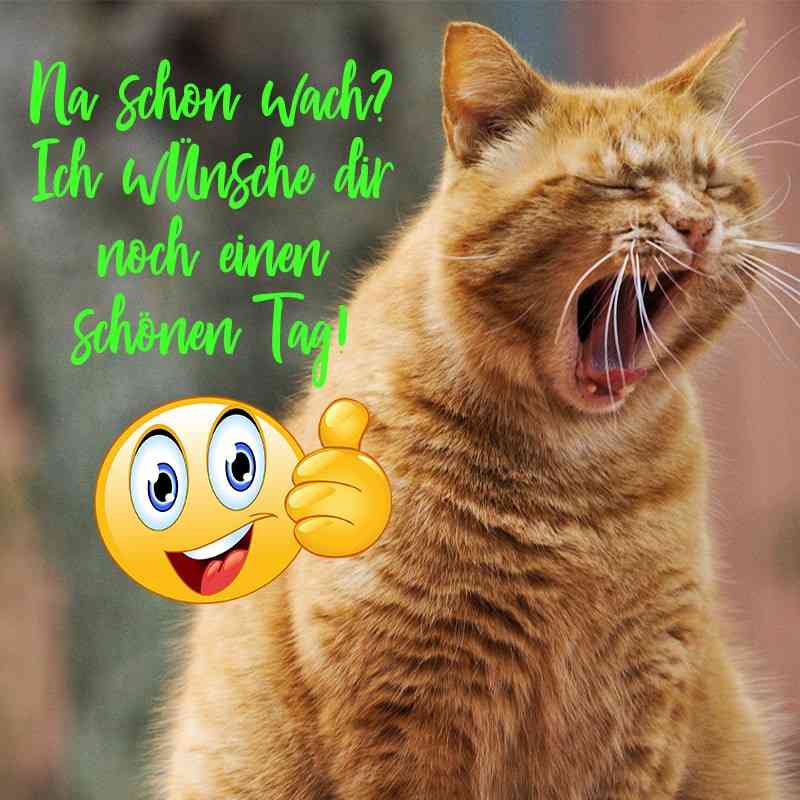 whatsapp schönen tag wünschen