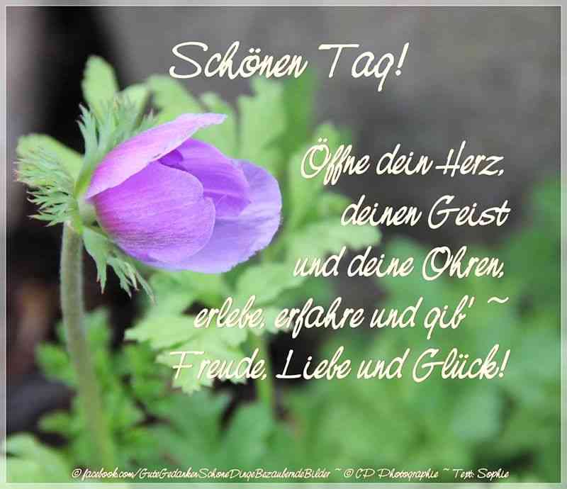 whatsapp schönen tag wünschen