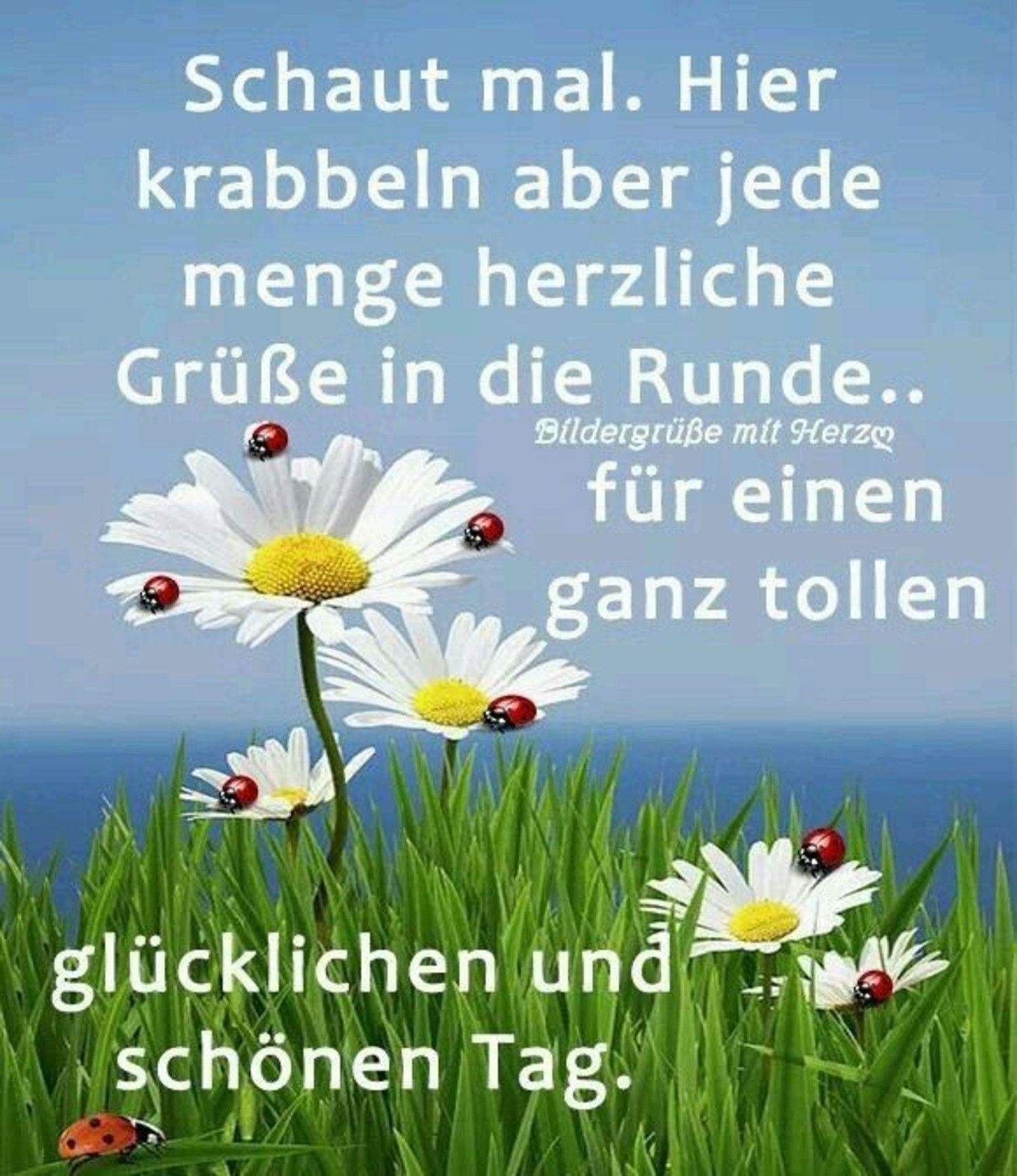 Wünsche schönen Tag guten Morgen Grüße für WhatsApp